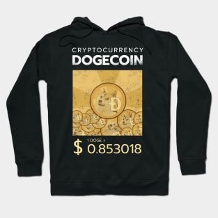 dogecoin currency meme Hoodie